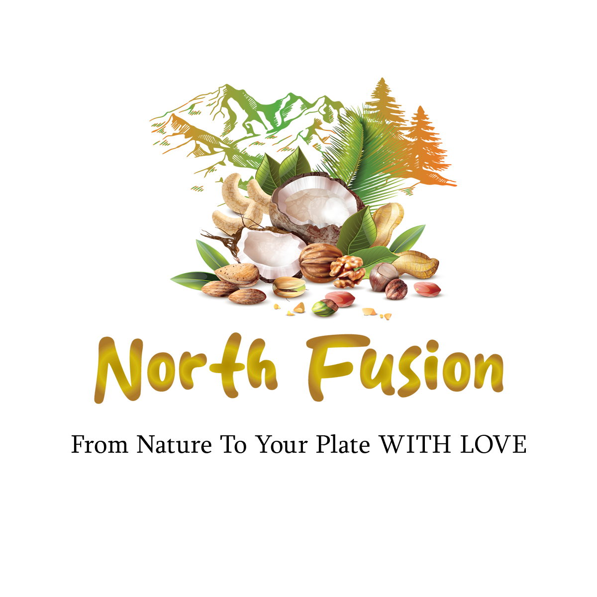 North Fusion